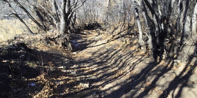 Silt fills the Acequia de Cañoncito from bank to bank near the community of Cleveland, New Mexico, on March 1, 2023. Crews on March 6, 2023, began using heavy equipment to remove the debris.