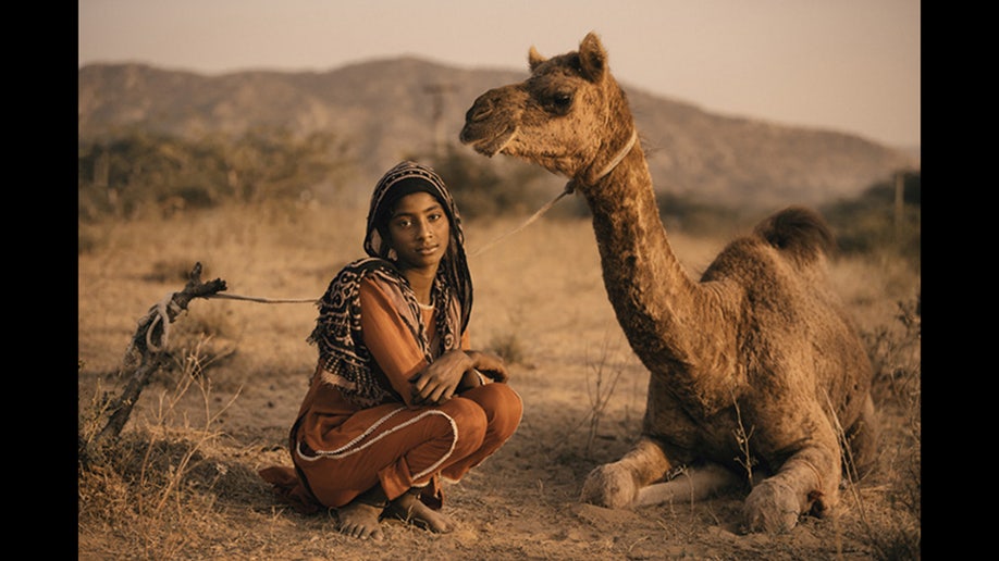 camel Sony World Photography Awards 2023