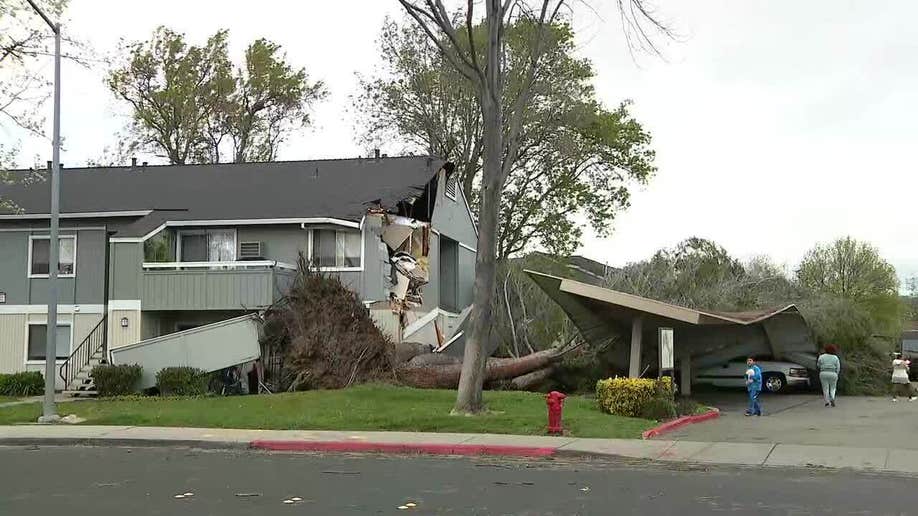 A tree on a damaged apartment building in Livermore