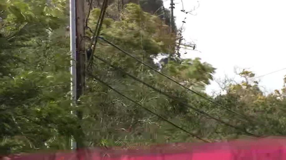 Downed power lines in Woodside