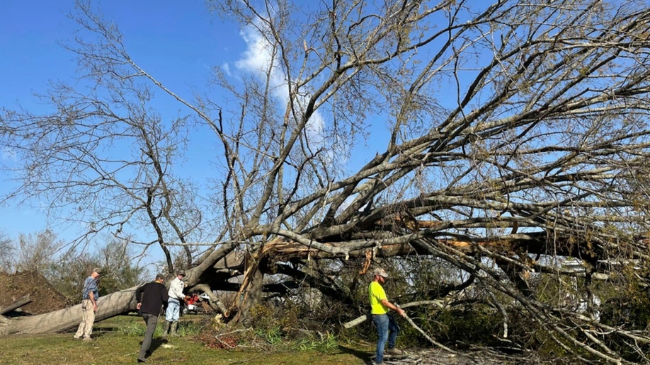 A fallen tree blocks the street in Rolling Fork