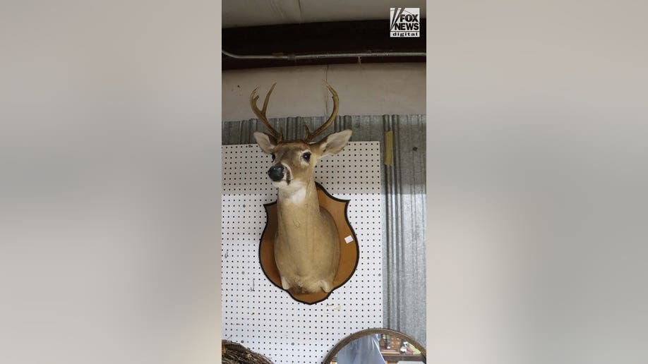 A deer mount from Moselle, Alex Murdaugh’s family estate,