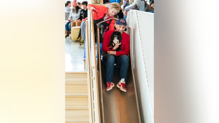 best friends shelter slide