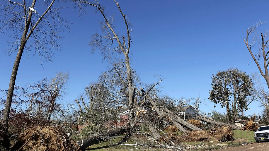 toppled trees and damaged home