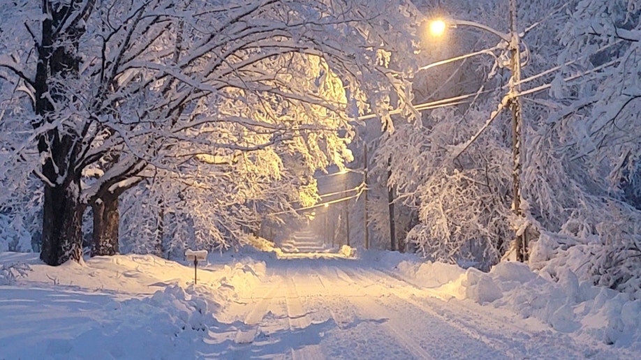 A snowy road in Norfolk, Connecticut, and trees