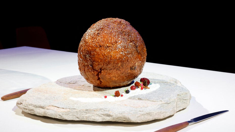 Dutch researchers make giant meatball using mammoth DNA