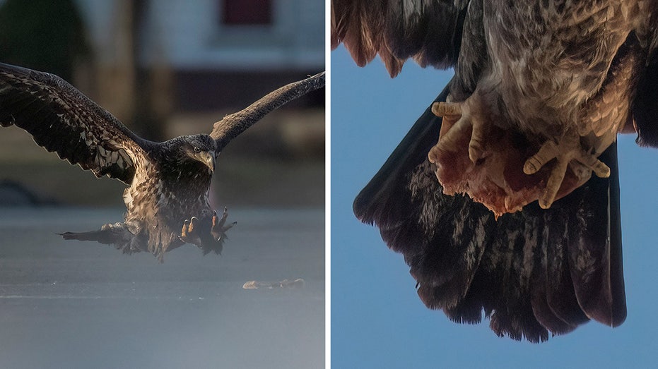 Fox News Uses Photos of Eagles Praying to Falsely Attack Them for