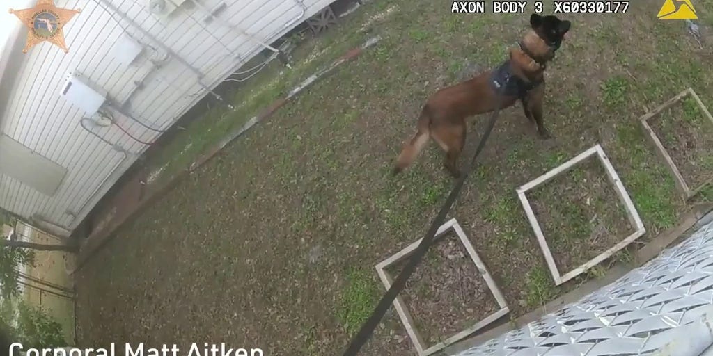 47aba671-Florida-deputy-shot-three-times