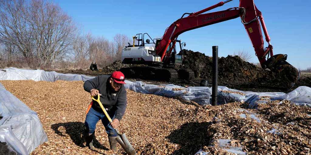 Iowa farms using low-tech systems to filter fertilizer-borne nitrates from water - Vimarsana News