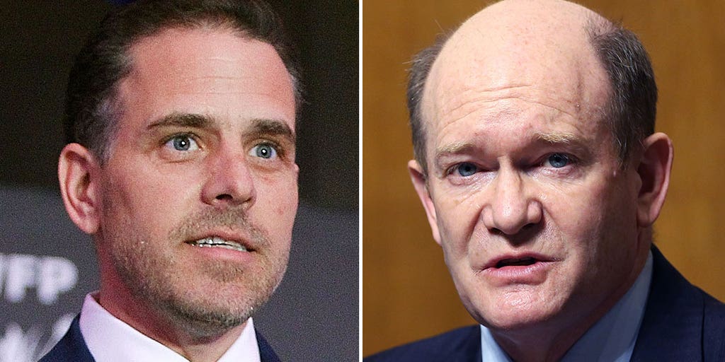 Hunter Biden's close relationship with his dad's new campaign co-chair revealed in laptop emails - Vimarsana News