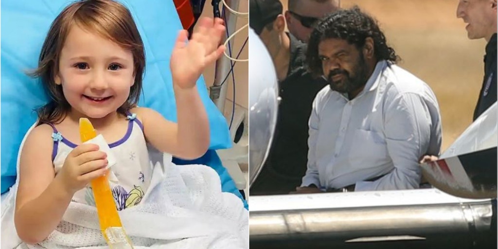 Australian man with delusional fantasies who abducted 4-month-old from family campsite gets 13 years in prison - Vimarsana News