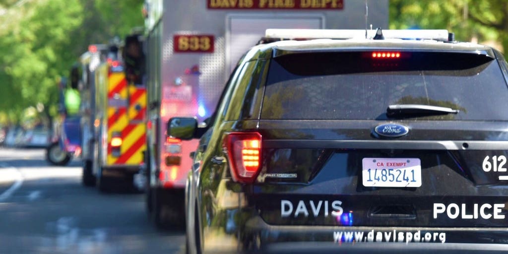 Davis, California sees second fatal park stabbing in four days - Vimarsana News