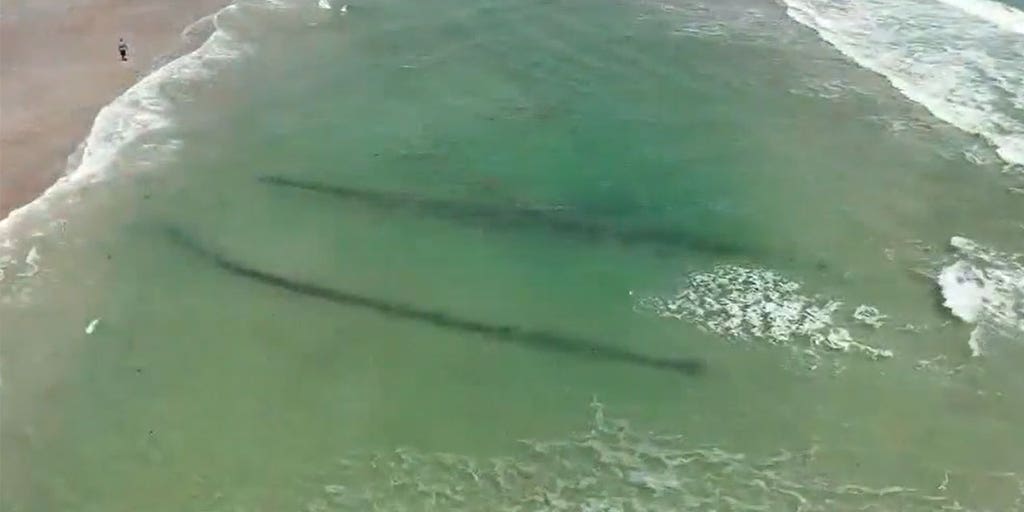 Florida coastal erosion exposes shipwreck off Daytona Beach: report - Vimarsana News