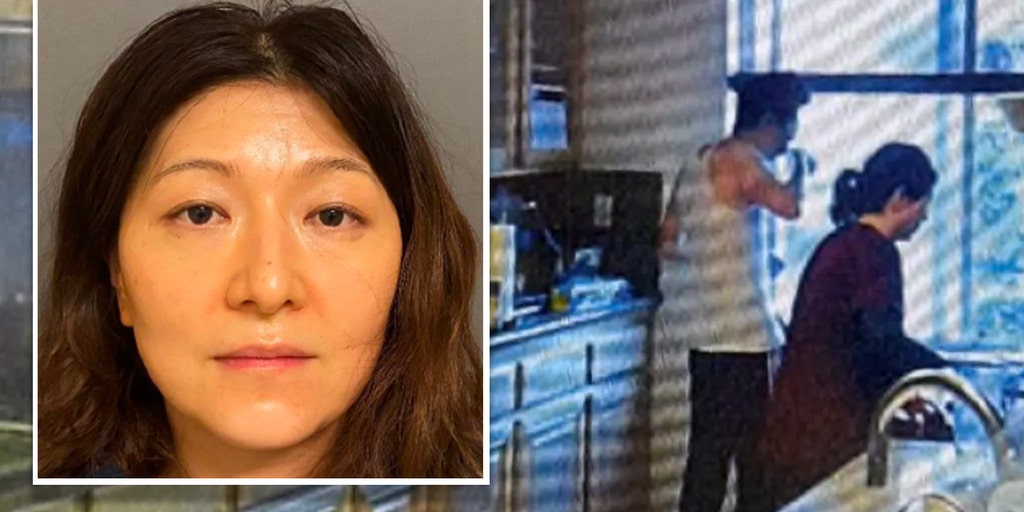 California dermatologist pleads not guilty to poisoning husband with Drano - Vimarsana News