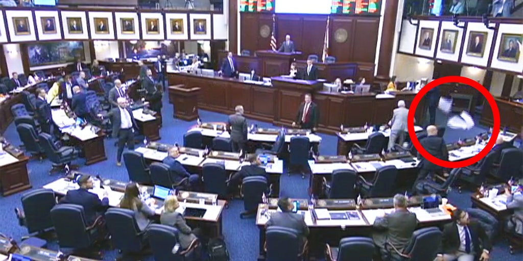 'Unruly' pro-abortion protesters removed from Florida House gallery after throwing debris at lawmakers - Vimarsana News