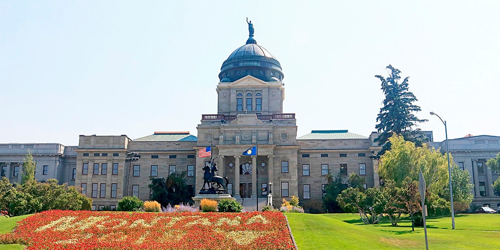 Montana library commissioner praises move to leave American Library Association: 'This is a statement' - Vimarsana News