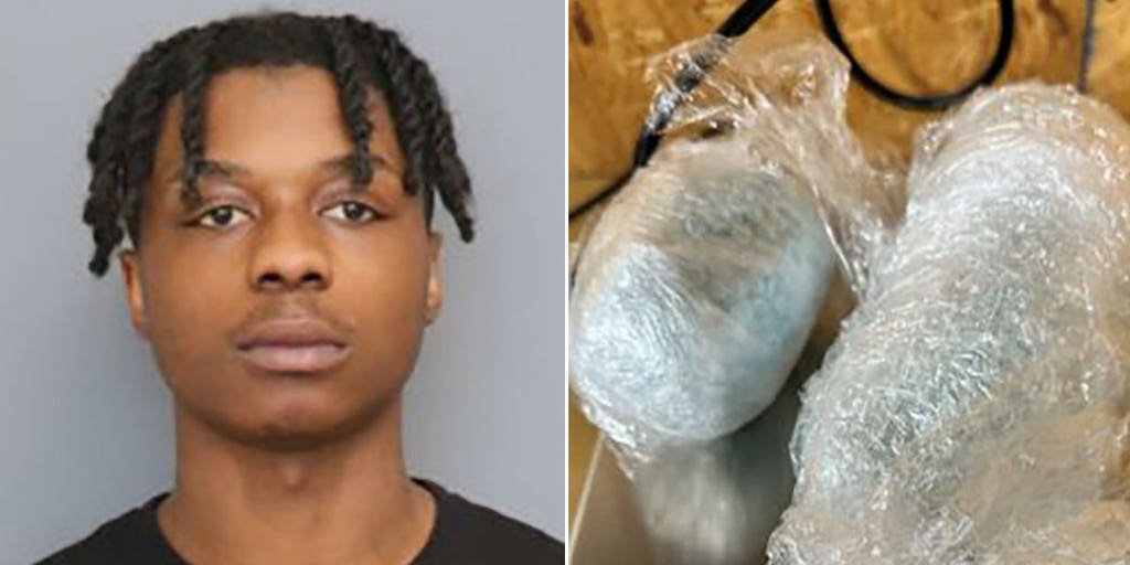 Maryland duo indicted for shipment of 5,000 fentanyl pills from California; 1 suspect had active LA warrant - Vimarsana News