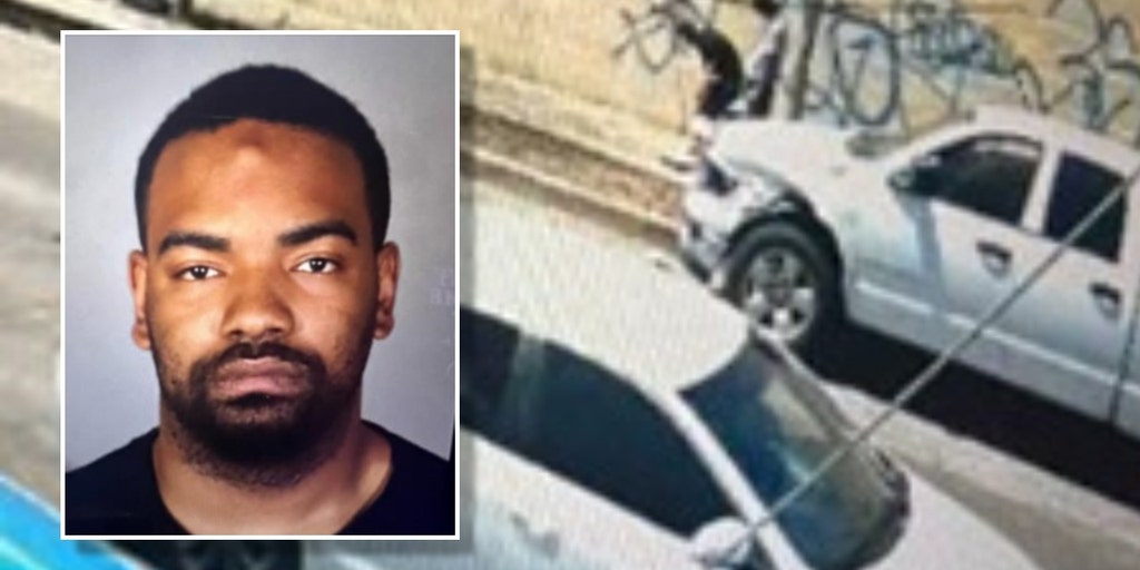 Los Angeles convicted felon out on probation accused of gunning down 60-year-old man removing gang graffiti - Vimarsana News