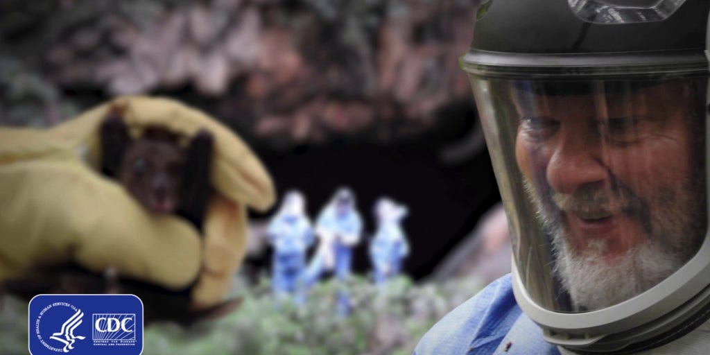 CDC warns of Marburg virus after deadly Africa outbreak - Vimarsana News