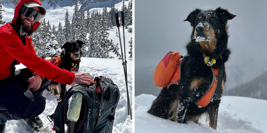 2 snowshoers, dog killed in Colorado avalanche identified - ABC News