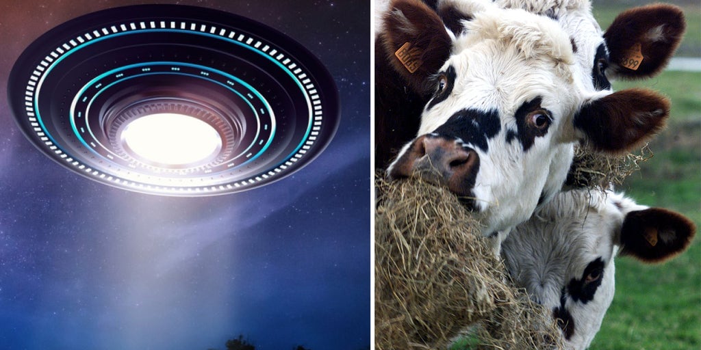 Mysterious deaths of six cattle in Texas sparks UFO fears: 'Something strange' is happening - Vimarsana News