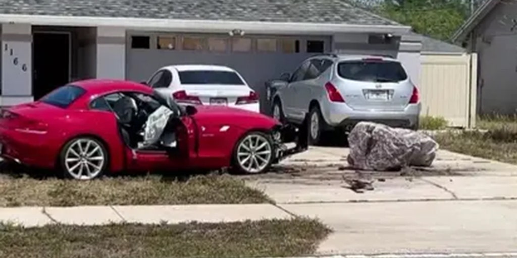 Florida woman killed, brother injured by distracted driver while walking their dog, deputies say - Vimarsana News