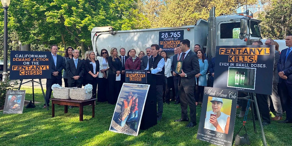 California Democrats, Republicans debate on whether to address fentanyl crisis with punishment or prevention - Vimarsana News