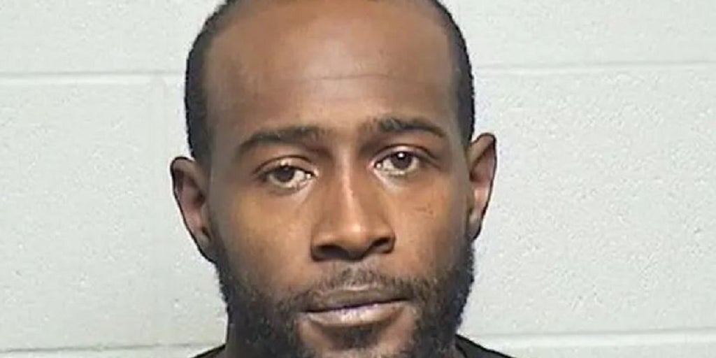 Illinois home invasion suspect caught after police K9 tracks him down over a mile away, punches dog, cops say - Vimarsana News