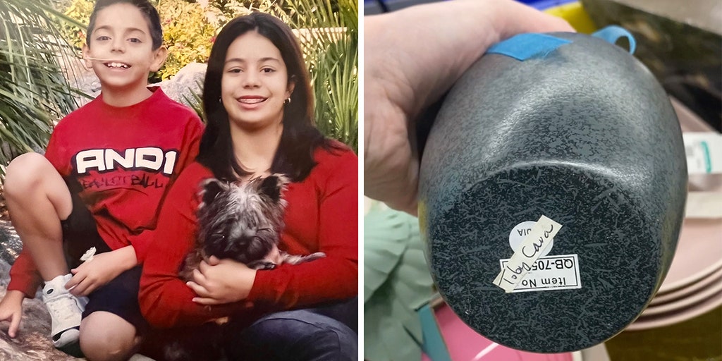 Washington woman who bought $3.99 urn from Goodwill reveals mystery has been solved - Vimarsana News