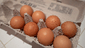 Eggs have been in short supply at some retailers. - Fox News