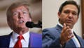 Former President Donald Trump and Florida Gov. Ron DeSantis.