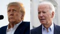 Many Democrat voters who despise President Joe Biden claimed they would still vote for the Democrat if he has a presidential election rematch with former President Donald Trump. - Fox News