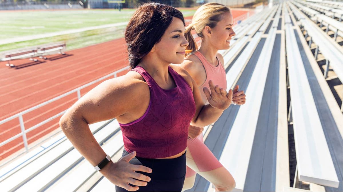 Fitbit that looks outlet like an apple watch