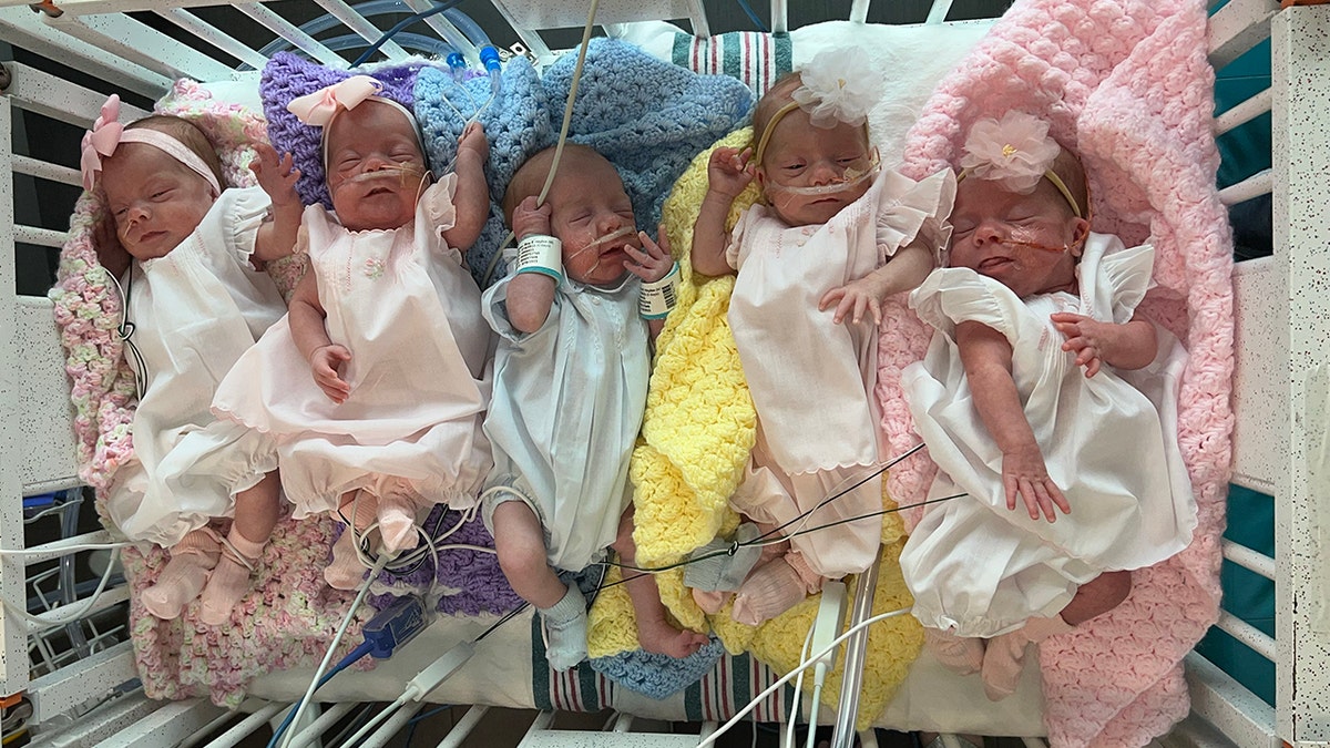 Ladner quintuplets