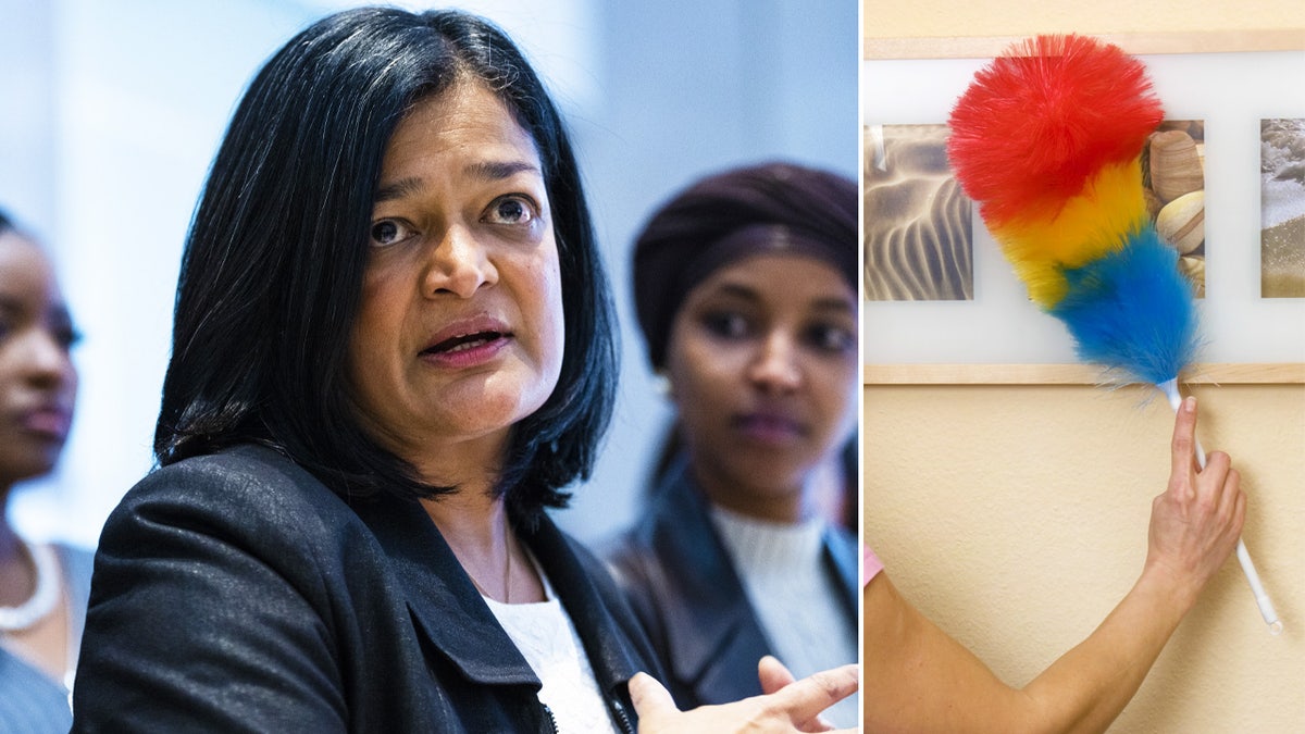 Pramila Jayapal, immigrants