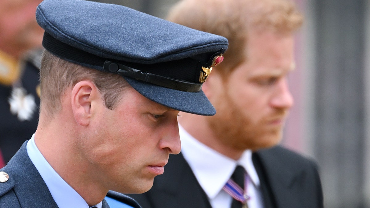 A close-up of Prince William in uniform and Prince Harry in a suit looking down