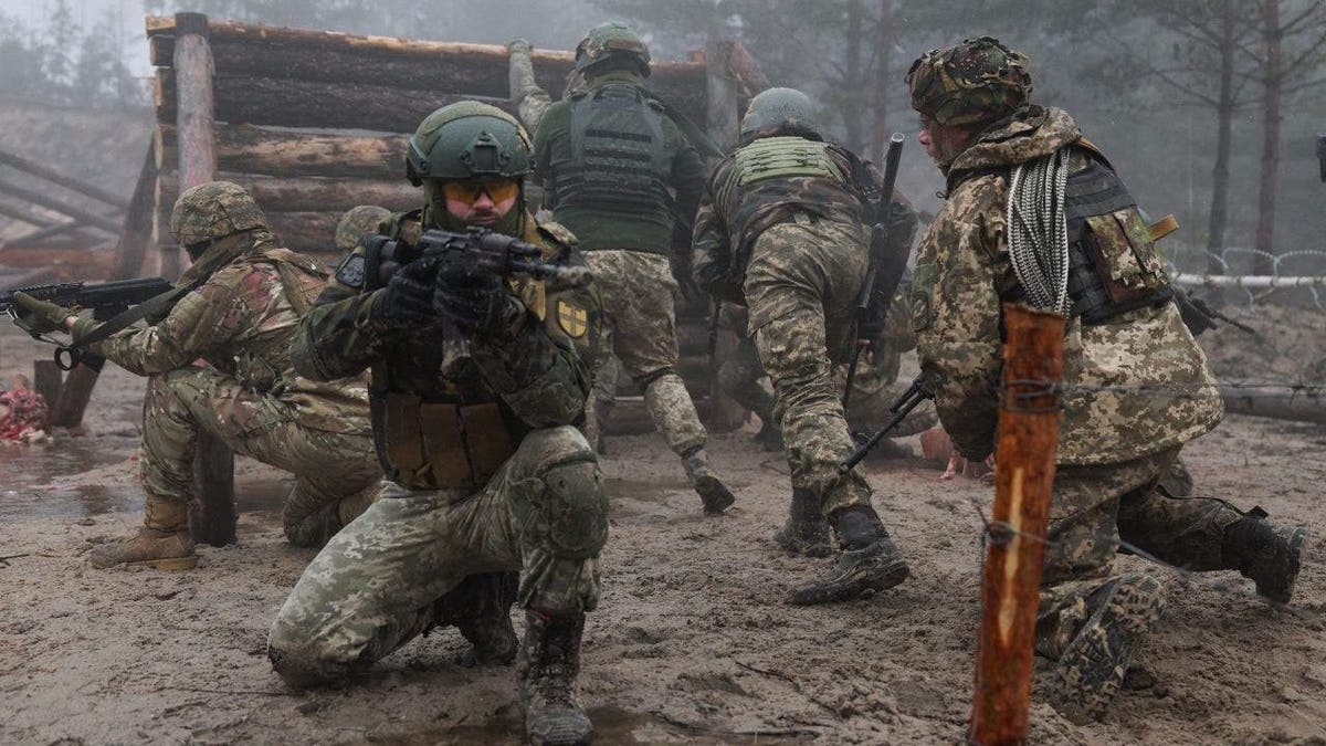 Ukrainian soldiers train