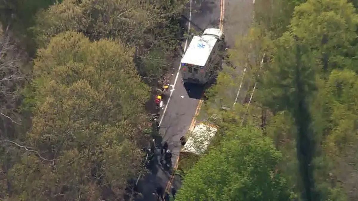 School bus crash NY