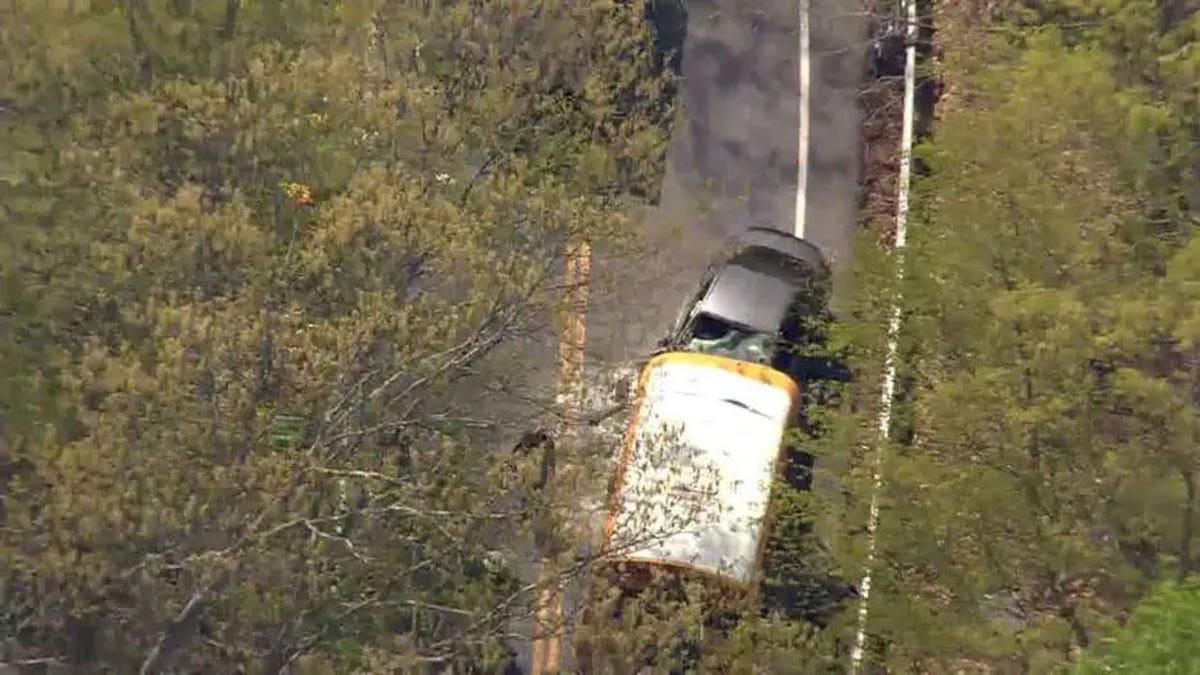 School bus crash NY