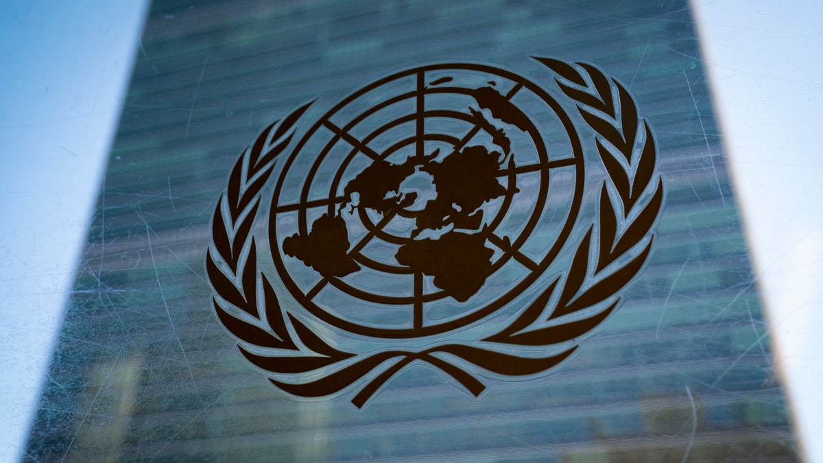 United Nations symbol