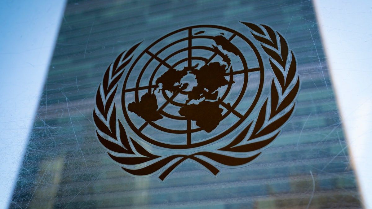 United Nations symbol