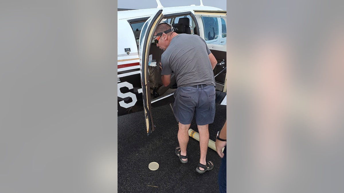 Venomous Cobra in Plane Forces South African Pilot to Make Emergency  Landing – NBC 6 South Florida