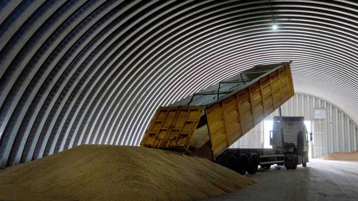 A dump track unloads grain