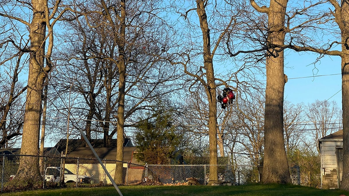 balloons in trees after memorial shooting