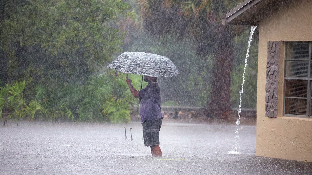 A person with an umbrella