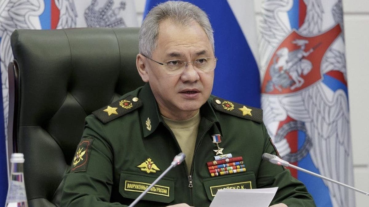 Defense Minister Sergei Shoigu