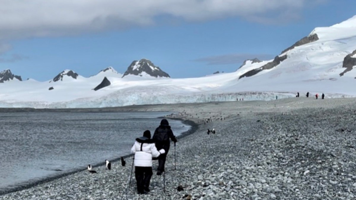 hiking in Antarctica 