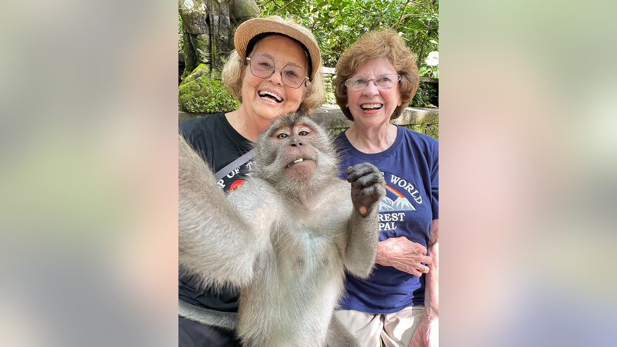 around the world in 80 monkey in Bali