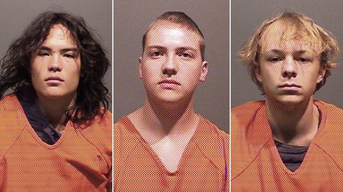 Colorado Teen Pleads Guilty To Rock Attack On Car That Killed Female ...