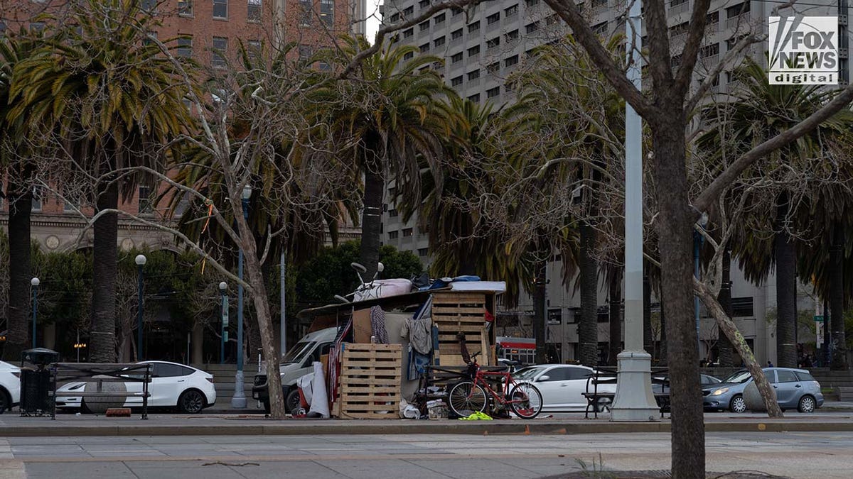 Homeless encampments inhabit the Marina District in San Francisco